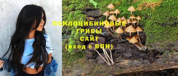 индика Алзамай