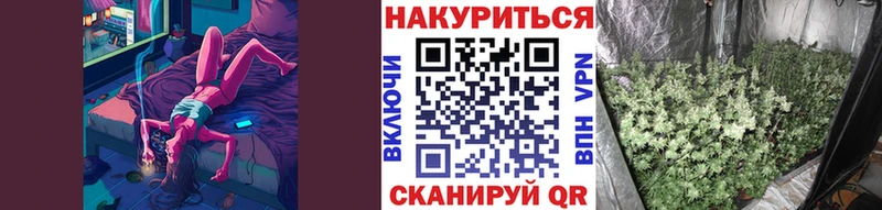 Канабис план  где купить наркотик  Темников 
